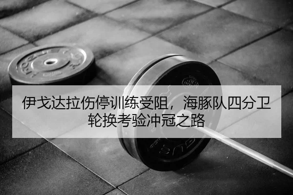 伊戈达拉伤停训练受阻，海豚队四分卫轮换考验冲冠之路